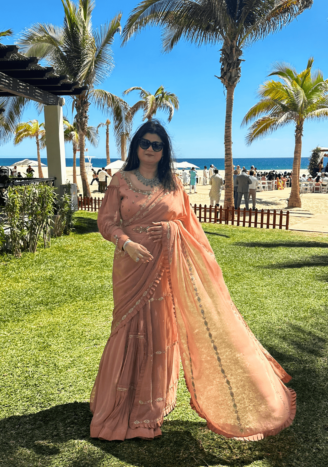 Blush drape saree - Ensemble by Monika