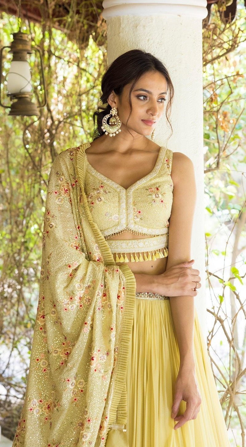 Embroidered Lehenga - Ensemble by Monika